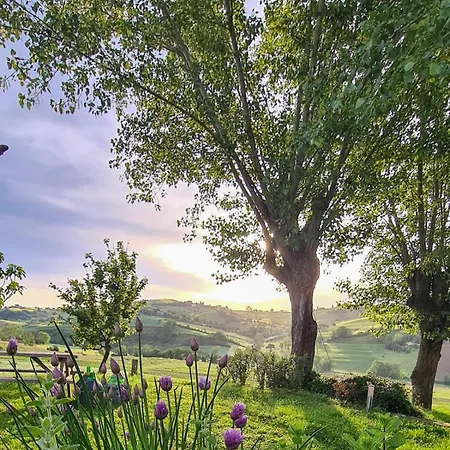 Casa Del Fonte 3* Corinaldo